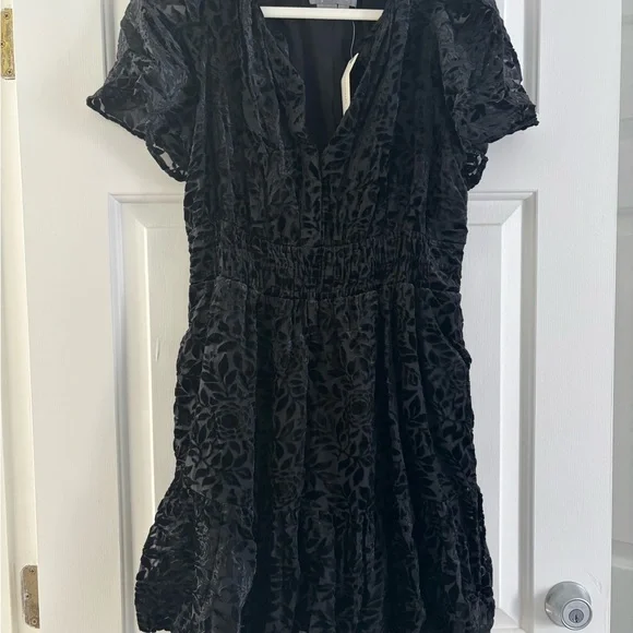 Velvet Somerset Mini Dress - Picture 2 of 3